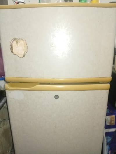 pel fridge for sale.
