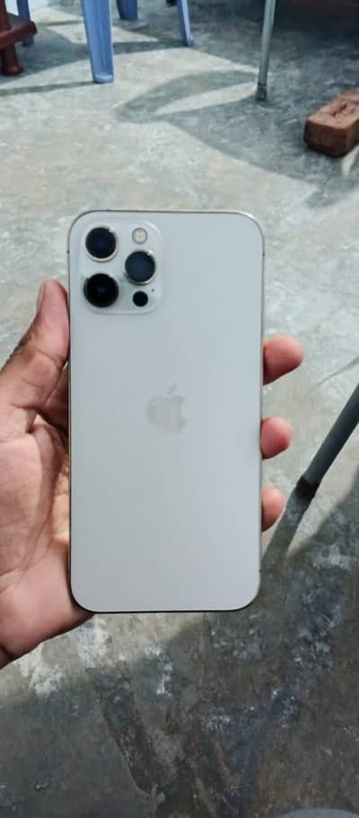 iphone 12 pro mex dual pta approved