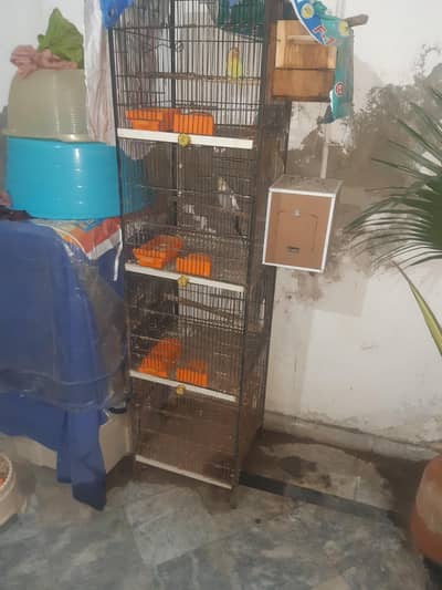 Iron cage either box