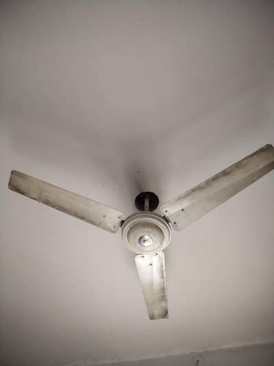 Rado fan sell karna hi