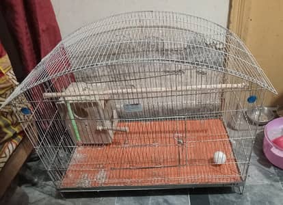 Cage birds