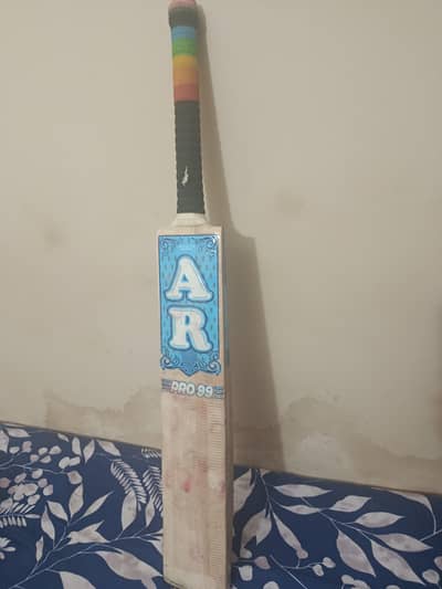 English willow cricket bat