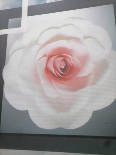 Resturant and Hotel Customer Service Job Lahore