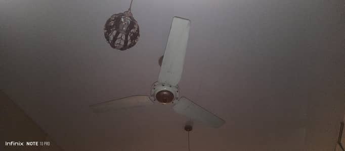 Lahore 56 inceiling fan