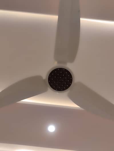 ceiling fan 56 inch