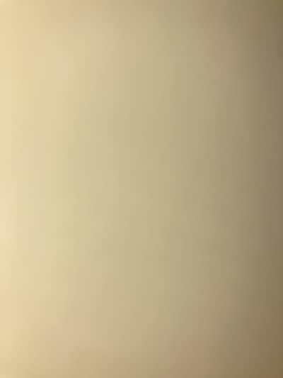 House chef male or female