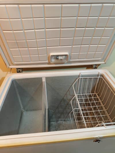 15Years Old Used Freezer