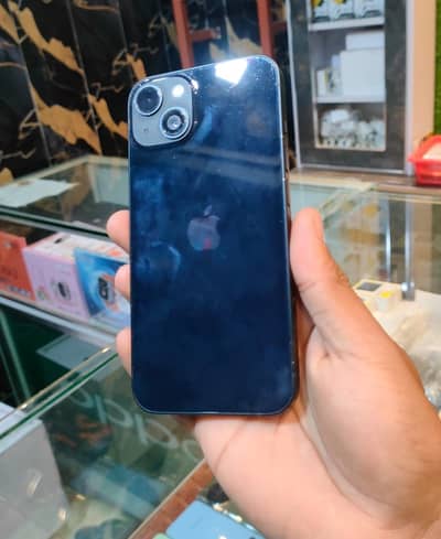 Contact only whatsapp