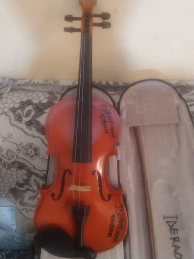 violin