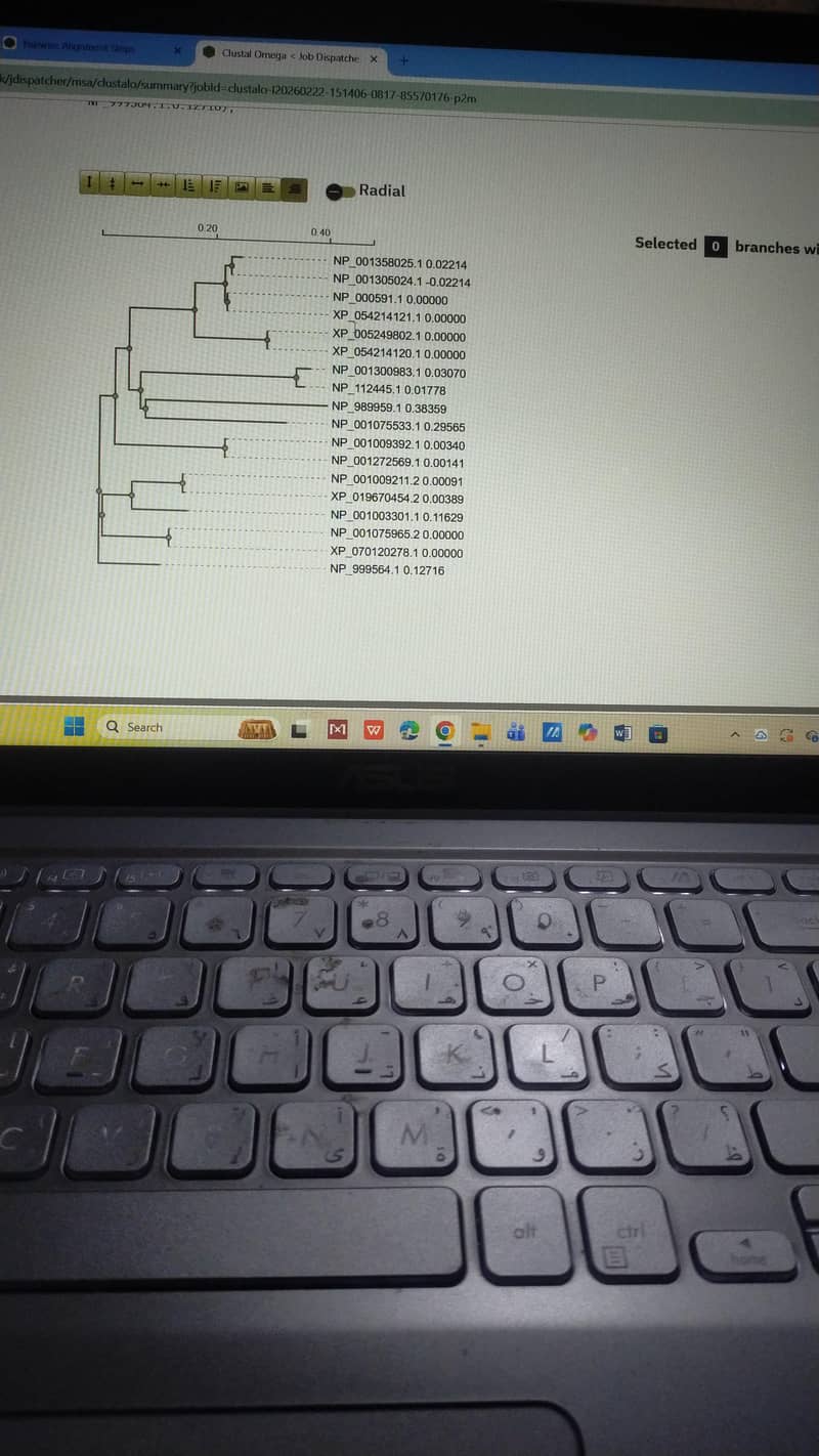 Bioinformatics, Data Science & Web Design Expert (Assignment Help) 2