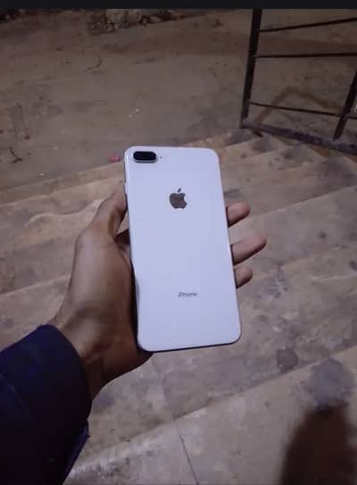 All ok ha 10/10 helt 76 ha baki all ok ha sub kuc apna ha