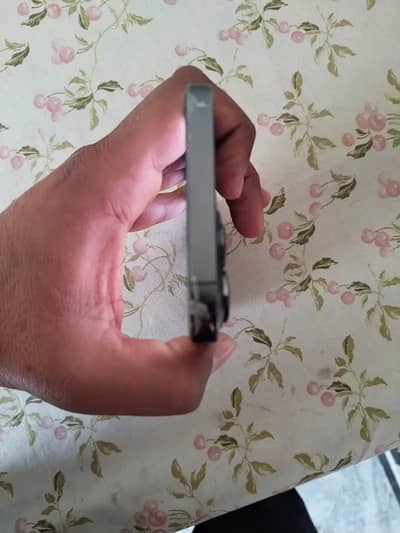 iPhone 13PM Non PTA Factory Unlock 256/jb 89 BG