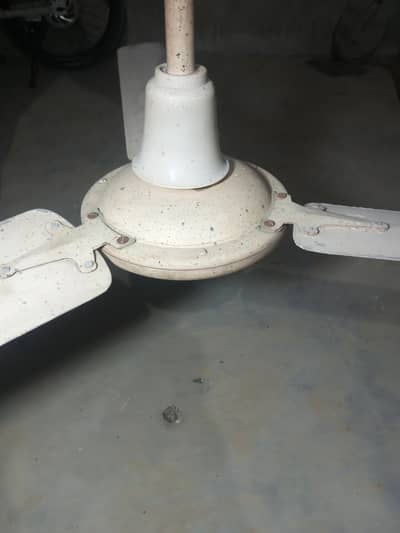 Ceiling Fan ha, working good. . . .