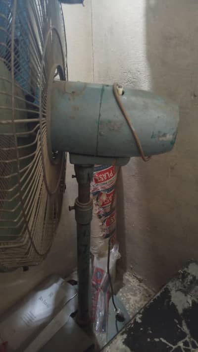 Fan for sale