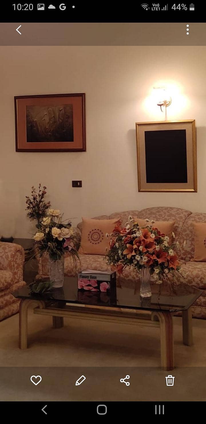 Large Luxury Sofa Set 3