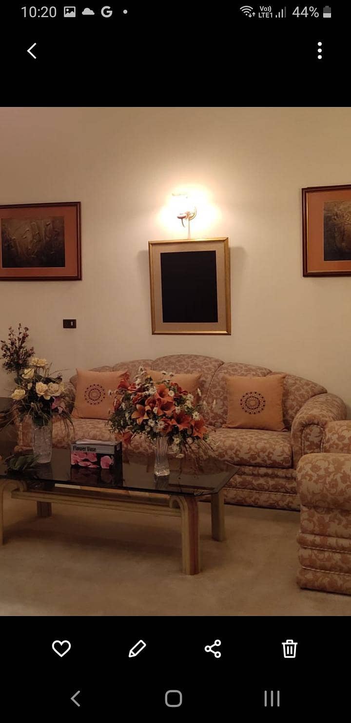 Large Luxury Sofa Set 4