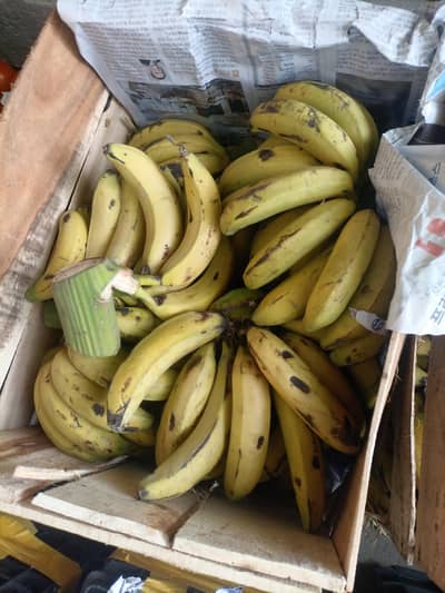 pindi ka leya sazuki pick up dastyab ha bilkol manasab Karaya ma