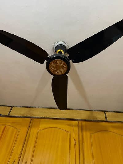 black new ceiling fan (design)