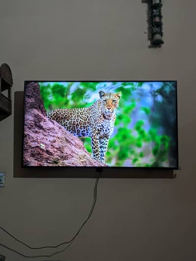 55 INCH SMART LCD TV