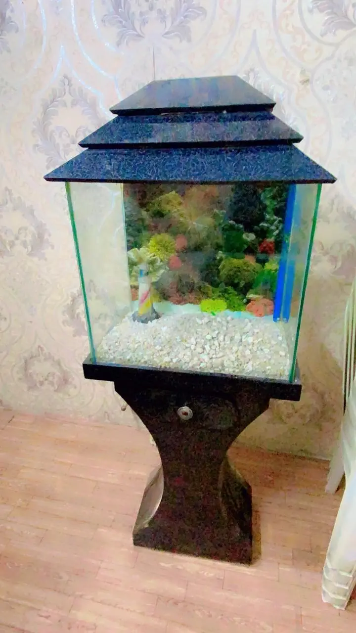 Aquarium with Wooden Stand