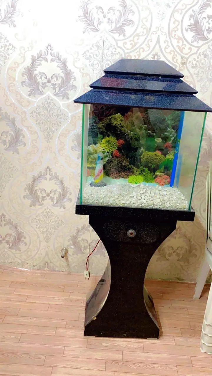 Aquarium with Wooden Stand — photo 2