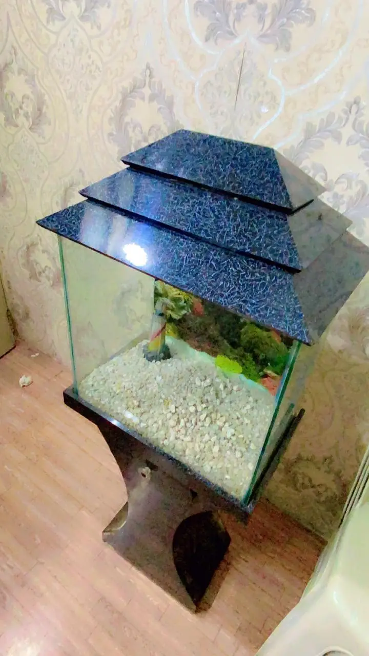 Aquarium with Wooden Stand — photo 3