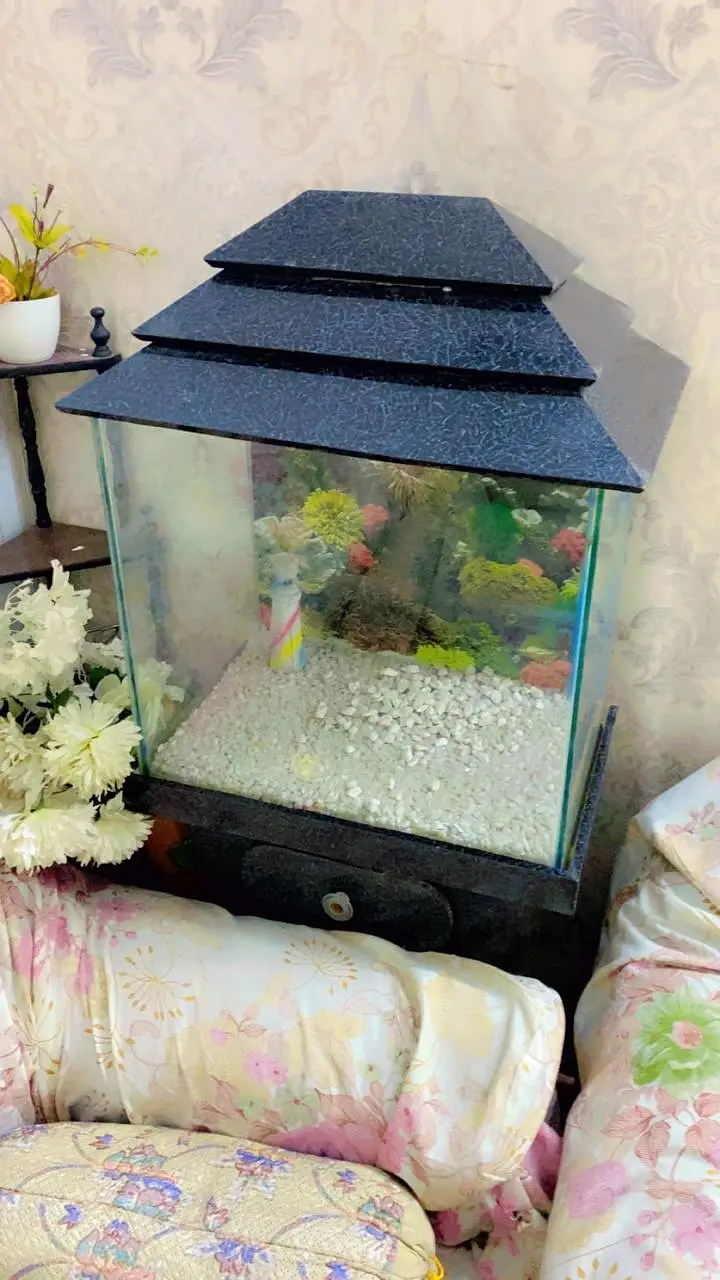 Aquarium with Wooden Stand — photo 4