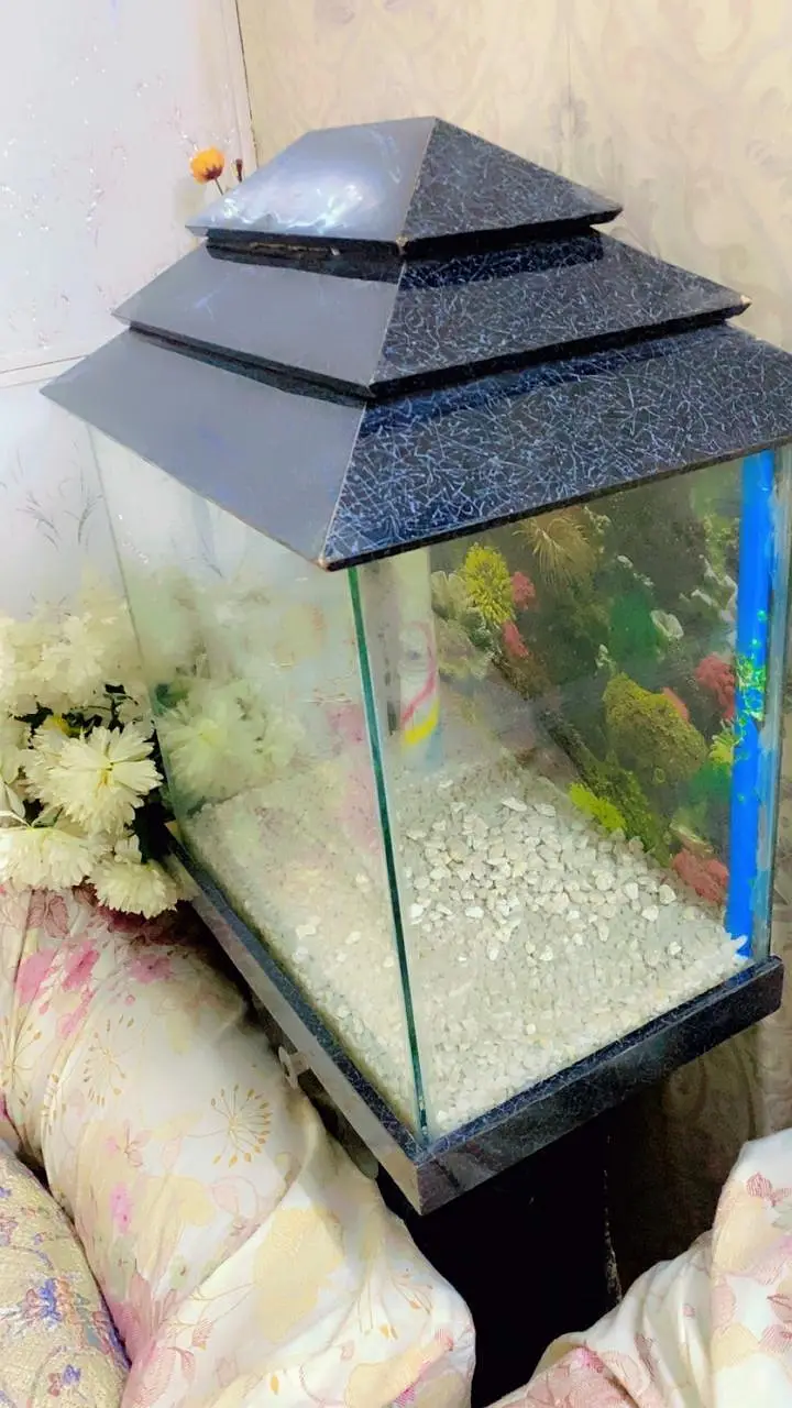 Aquarium with Wooden Stand — photo 5