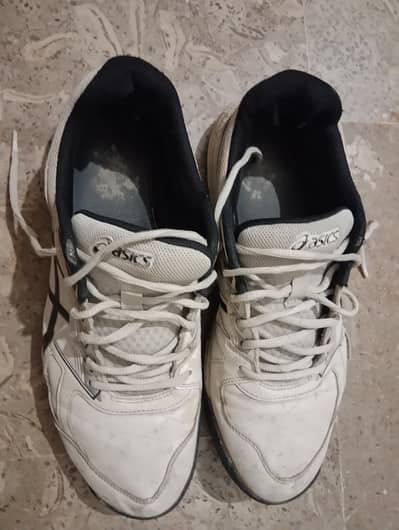 Asics Original Sports Shoes