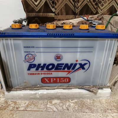 phoenix 19 plates xp 150