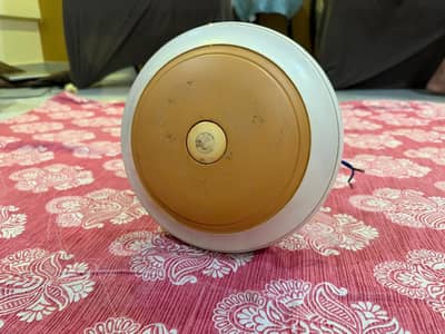 1 JD Fan and 1 PAK FAN