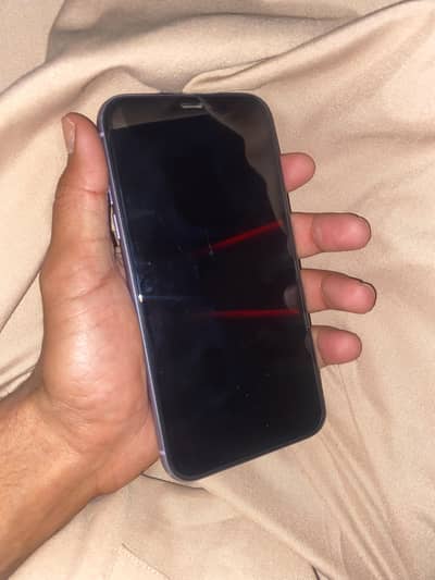iPhone 11 256GB
