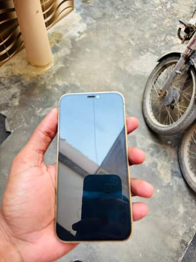 Iphone 12 Pro Pta Approved 128-Gb