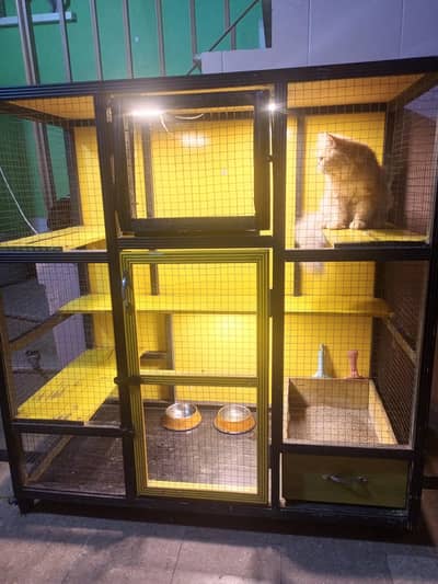 cat house condition 10/10