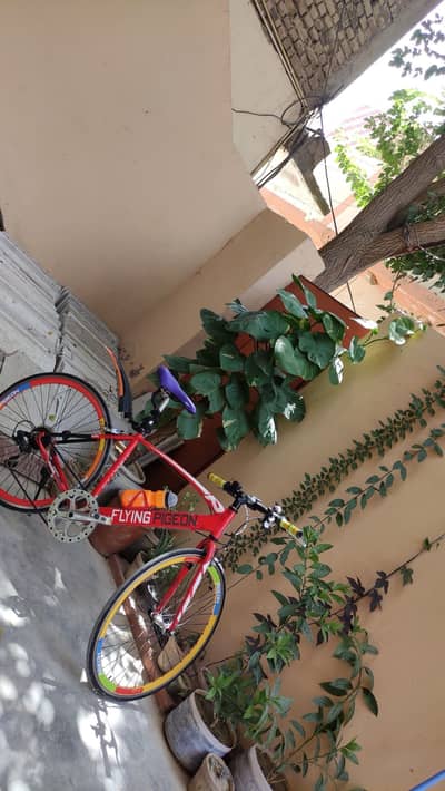 Sports Japanese Cycle