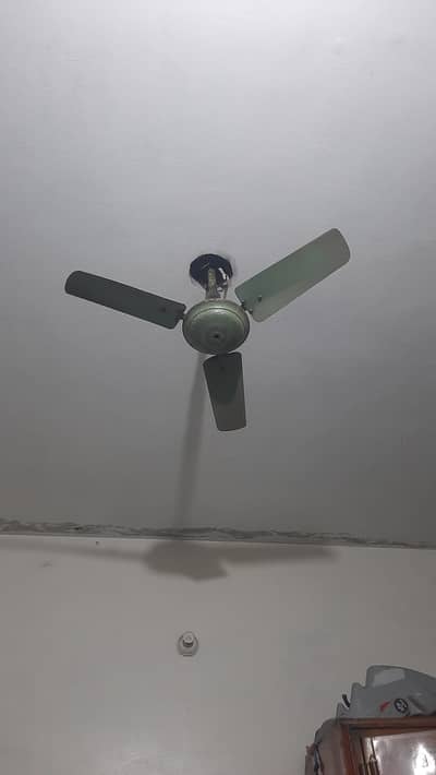 36 inch celling fan for sale