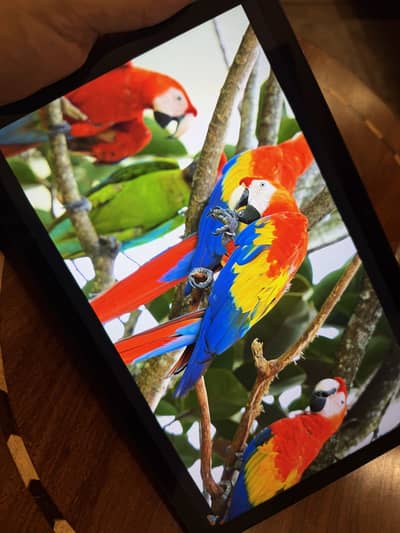 Samsung A9 plus Tablet 5G 11 inch Screen (Good Condition)