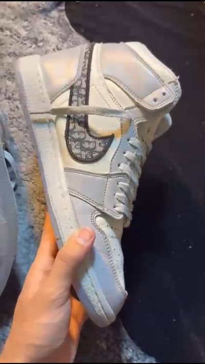 Dior x jordan