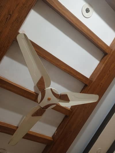 Ceiling fan for sale