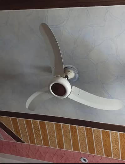 royal celling fan