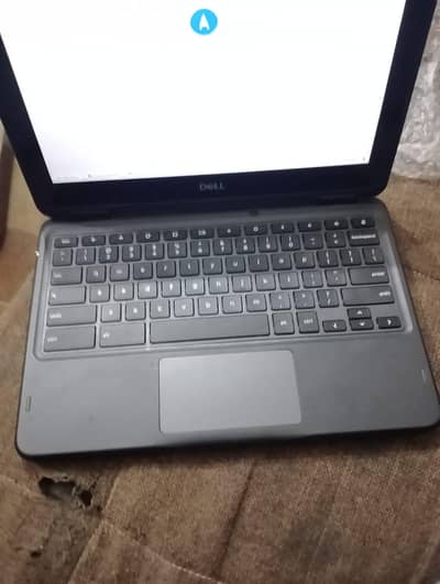 dell 3100 Chromebook