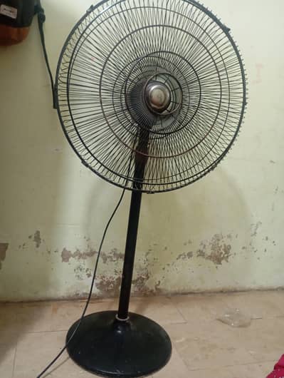 Sahi hai chalta WA hai feen