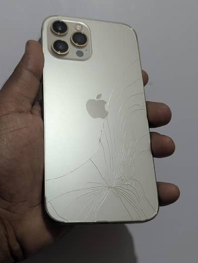 apple iphone 12 pro max 512 dual pta approved