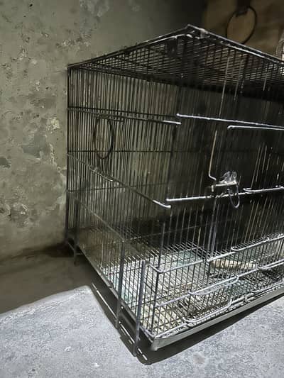 Birds cages for sale