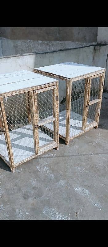 aseel cages full mazbbot