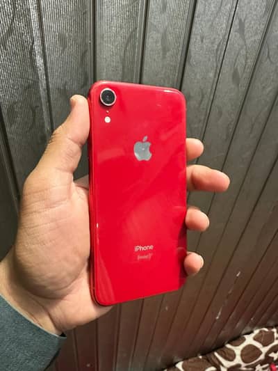 iPhone xr