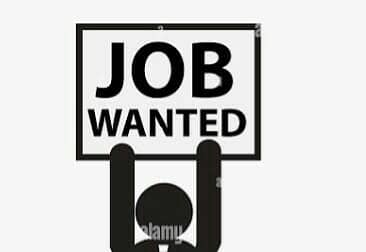 Job wanted on daily basis in gt road area | 03264695118 |