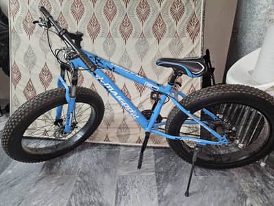 FAT BIKE