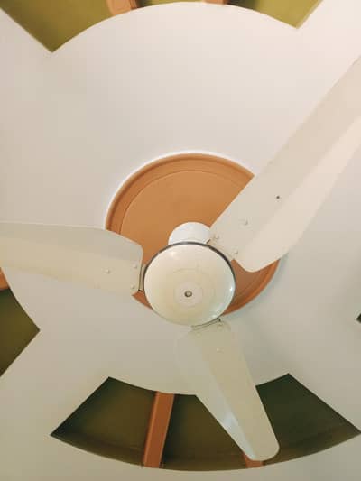 ceiling fan