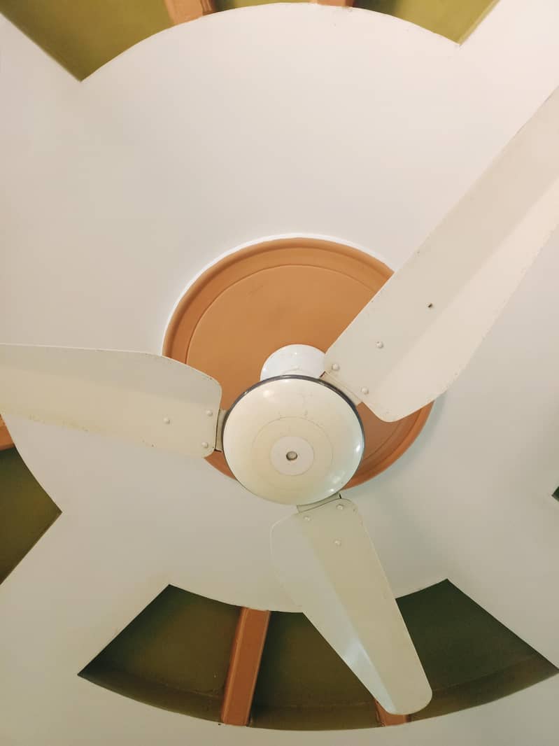 ceiling fan 0